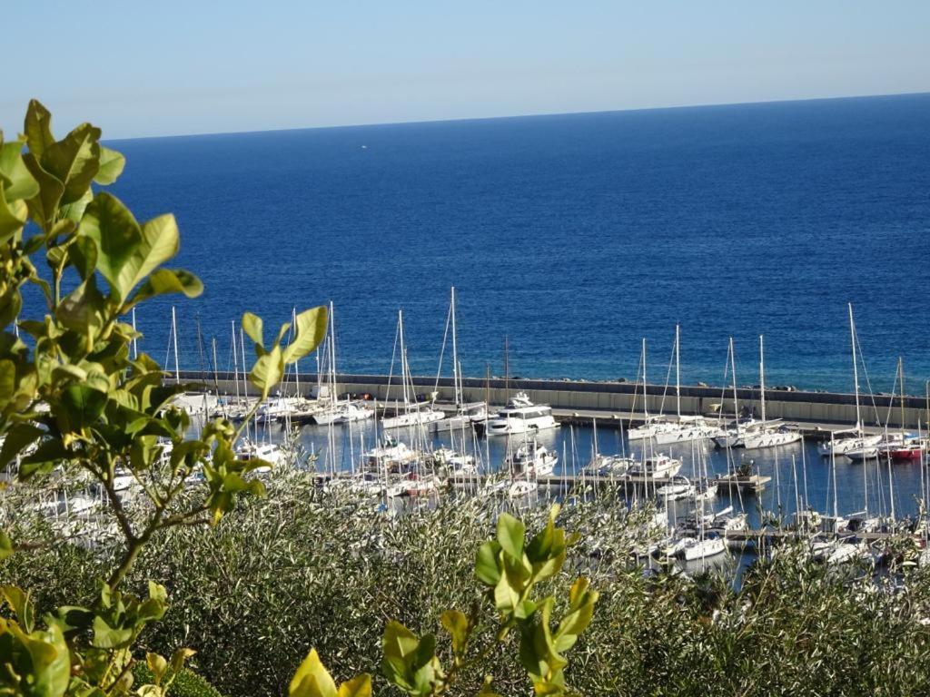 Villetta Sole Mare Santo Stefano al Mare Εξωτερικό φωτογραφία